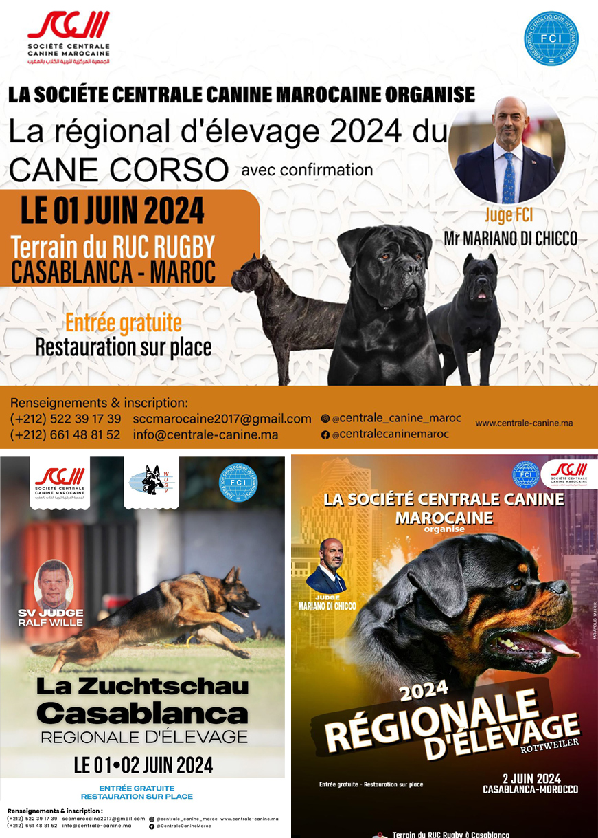 LA RÉGIONALE D’ÉLEVAGE CASABLANCA 01 & 02  JUIN 2024