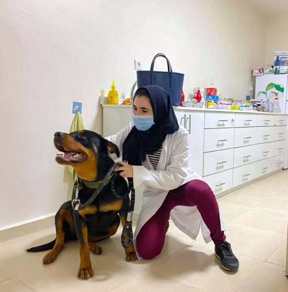 Clinique vétérinaire bouayad