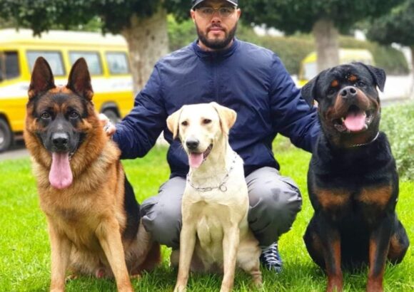 Twin Dog Training Club