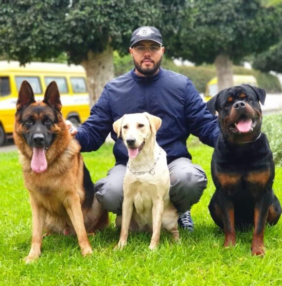 Twin Dog Training Club