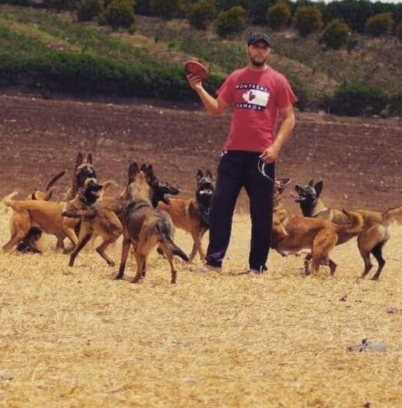 Twin Dog Training Club