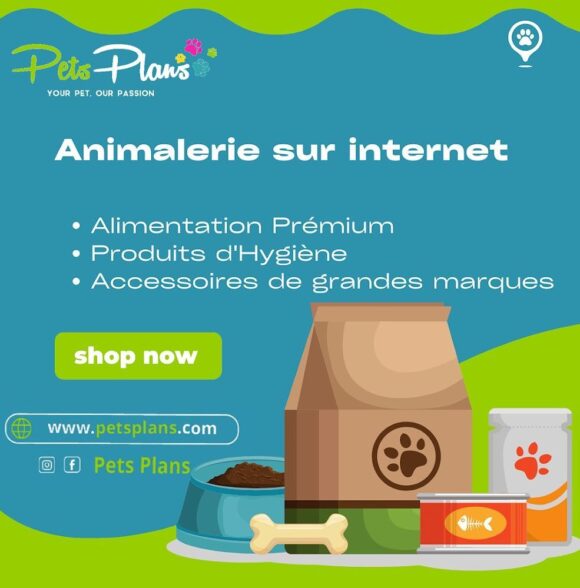 Pets Plans