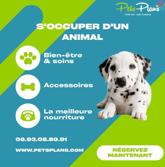 Pets Plans