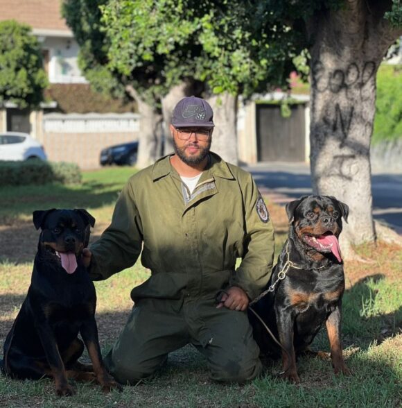 Twin Dog Training Club