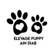 Elevage puppy casa