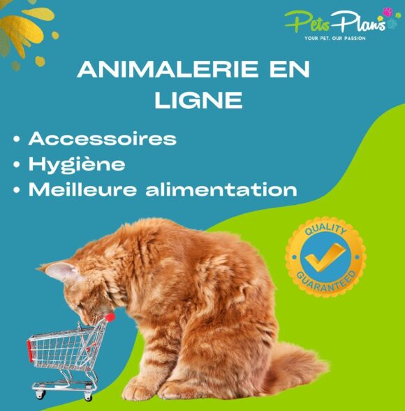 Pets Plans