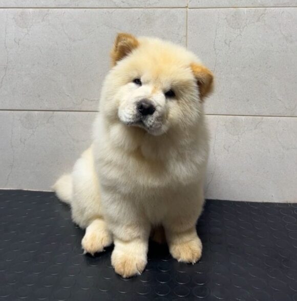 Call Me Fluffy