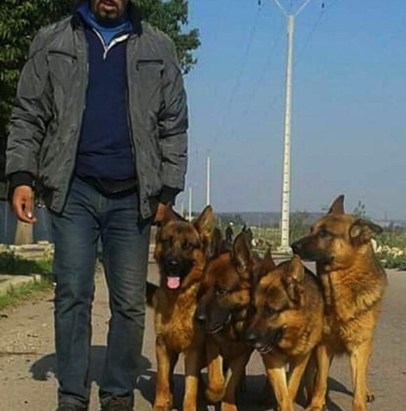 Abdelkrim Belaidi