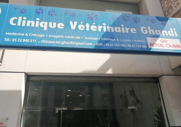 Clinique vétérinaire ghandi