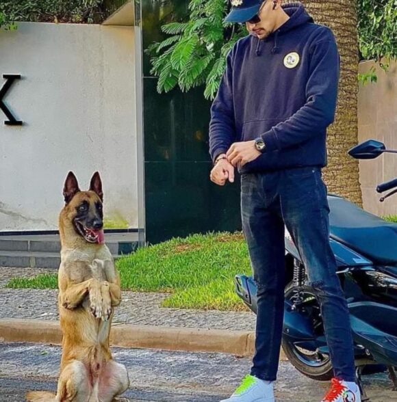 Bon Maitre Bon Chien