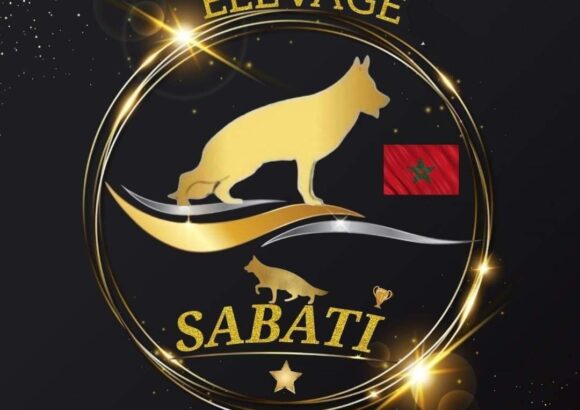 Hotel de chiens Sabati