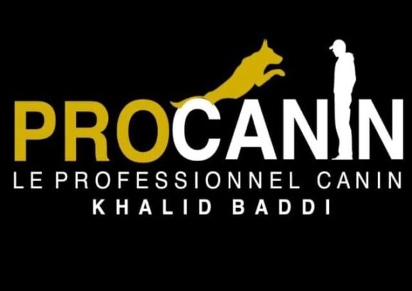 Procanin