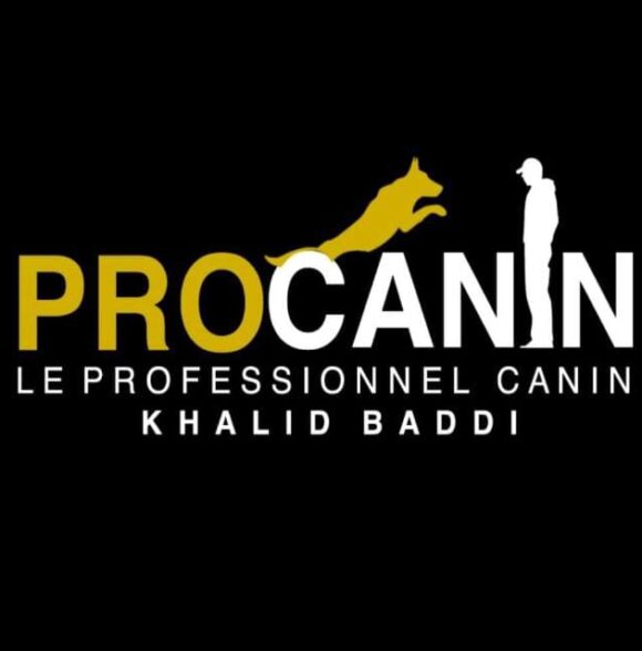 Procanin