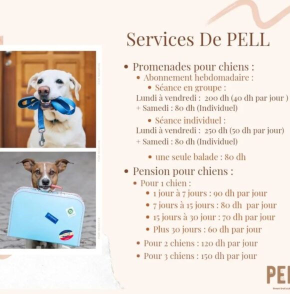 PELL dog services
