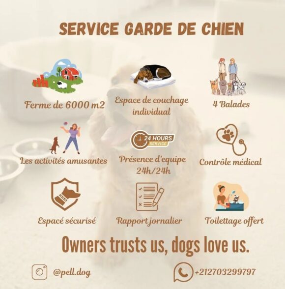 PELL dog services