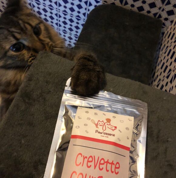 Pawtisserie