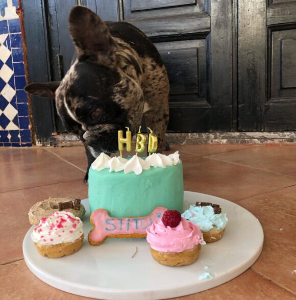 Pawtisserie