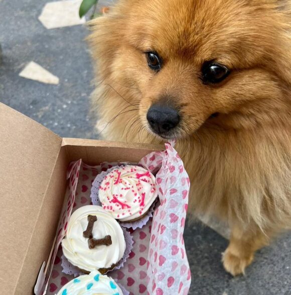 Pawtisserie