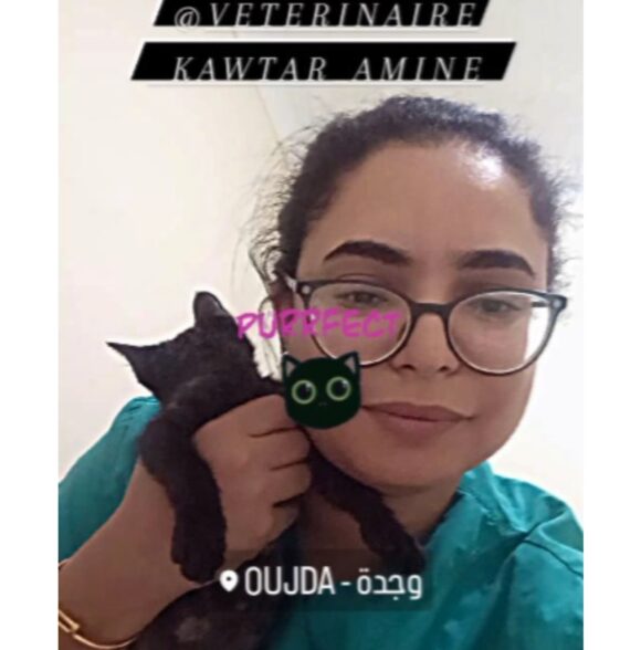 Cabinet vétérinaire Dr Kawtar Amine