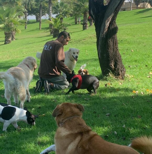 PELL dog services
