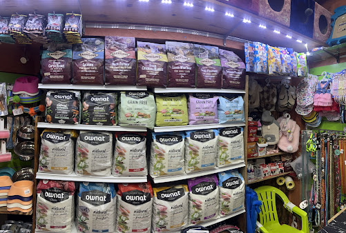 Animalerie PET PARADISE