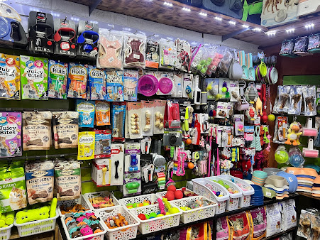 Animalerie PET PARADISE