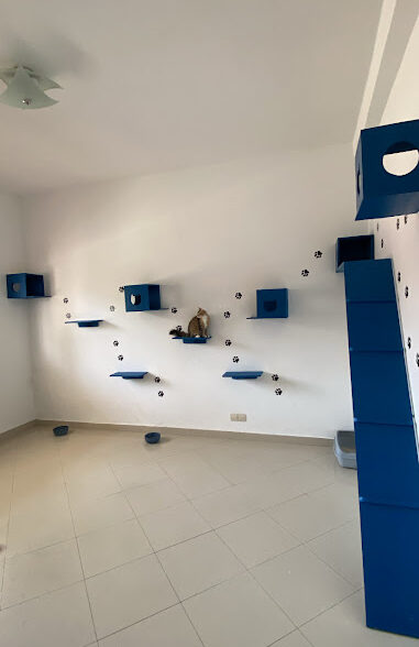 Clinique Vétérinaire Dr Chakroune