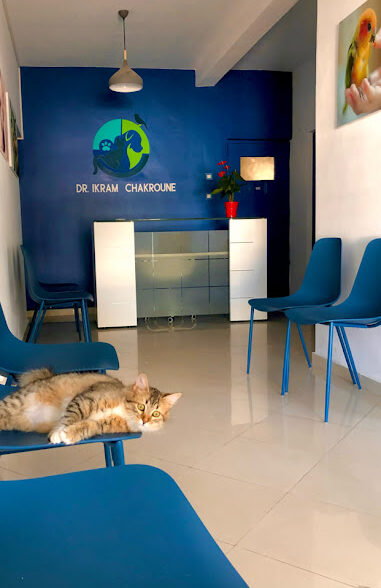 Clinique Vétérinaire Dr Chakroune
