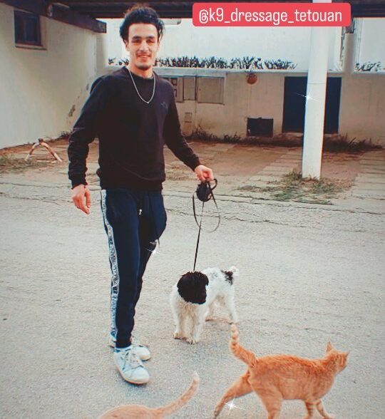K9 dressage tetouan