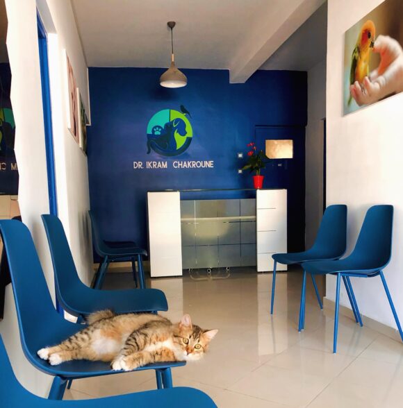 Clinique Vétérinaire Dr Chakroune