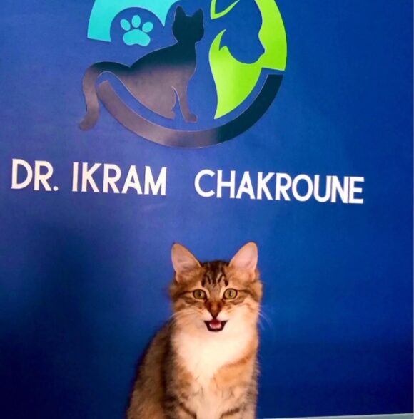 Clinique Vétérinaire Dr Chakroune
