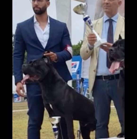 Victoria kennel