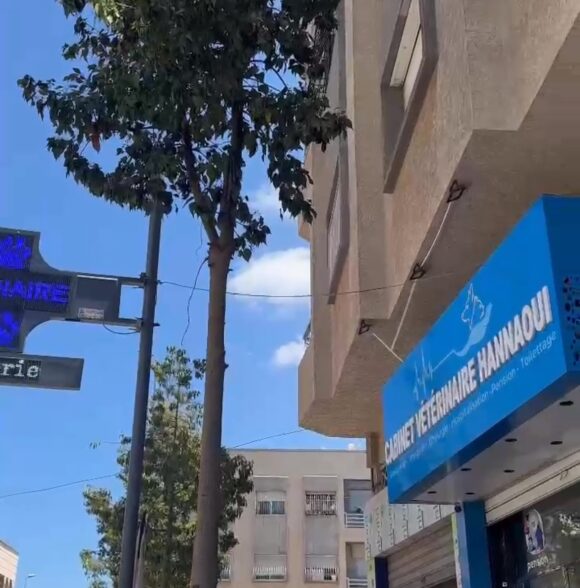 Cabinet vétérinaire Hannaoui