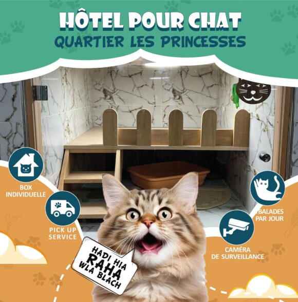 PetSpace