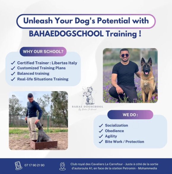 Bahae Dogschool