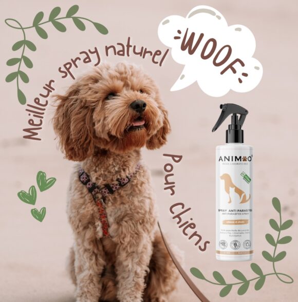 ANIMOO – produits d’hygiène