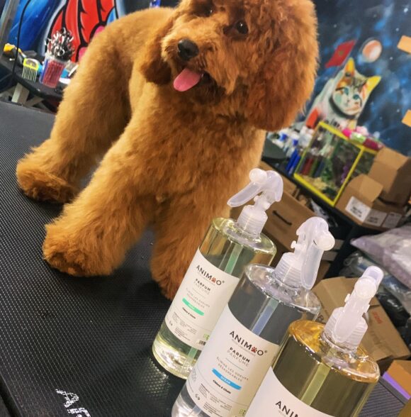 ANIMOO - produits d'hygiène