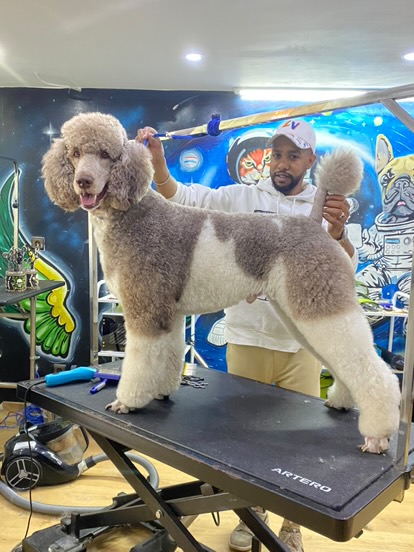 Linda pet services
