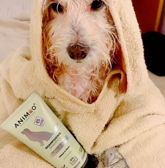 ANIMOO - produits d'hygiène