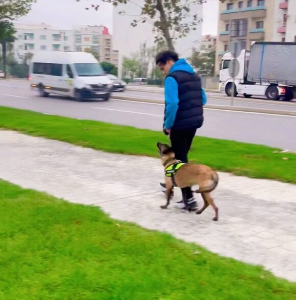 K9 dressage tetouan