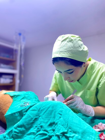 Clinique Vétérinaire Dr Chakroune