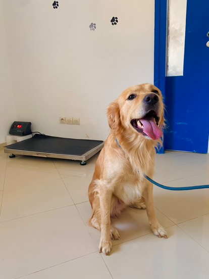 Clinique Vétérinaire Dr Chakroune