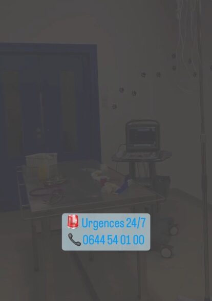 Clinique Vétérinaire Dr Chakroune