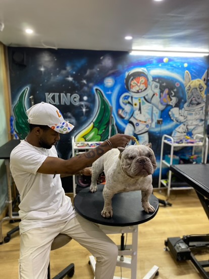 Linda pet services