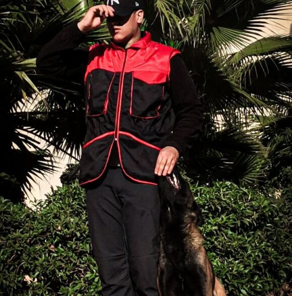 Dst_dogs