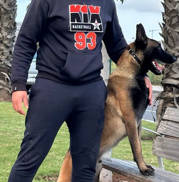 Dst_dogs