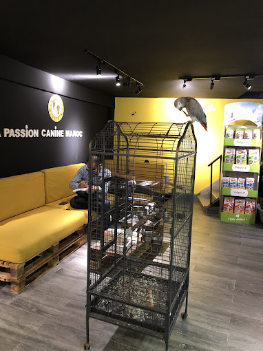 La passion canine val fleuri
