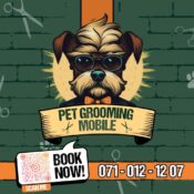 Pet grooming by mehdi