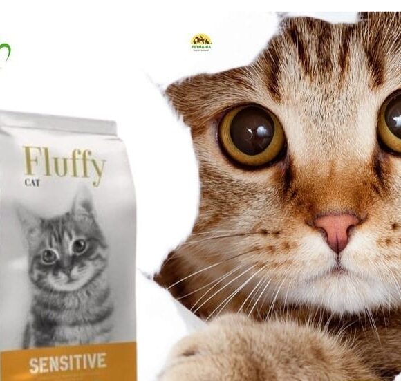 Fluffymed service