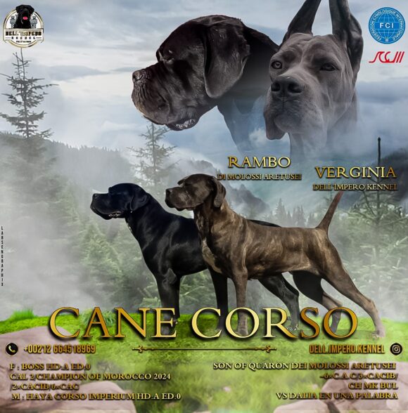 Impero-kennel